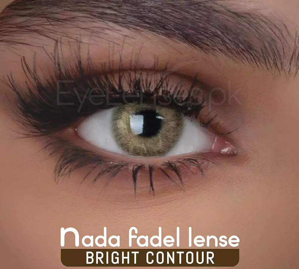 Bright Contour - Nada Fadel Lense