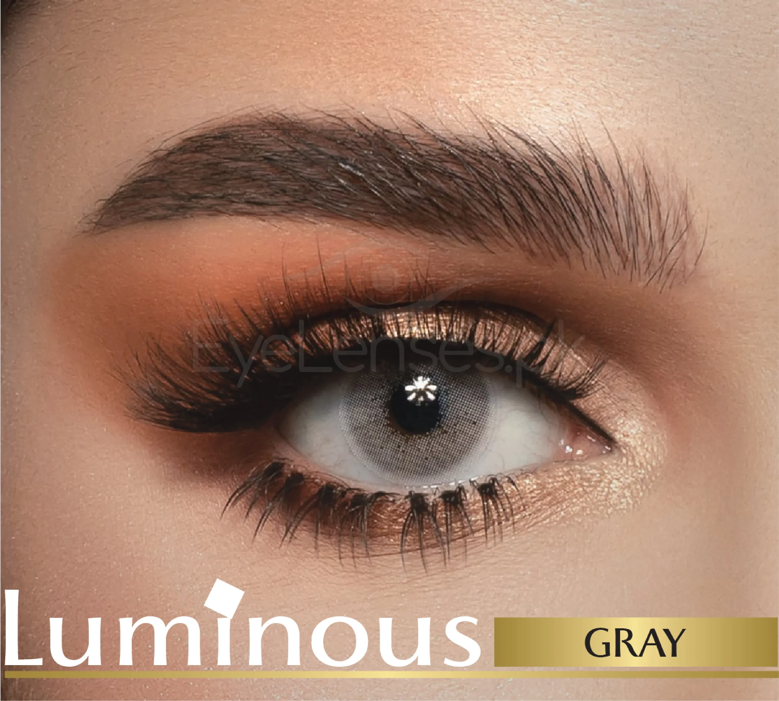 Gray- Luminous Lenses