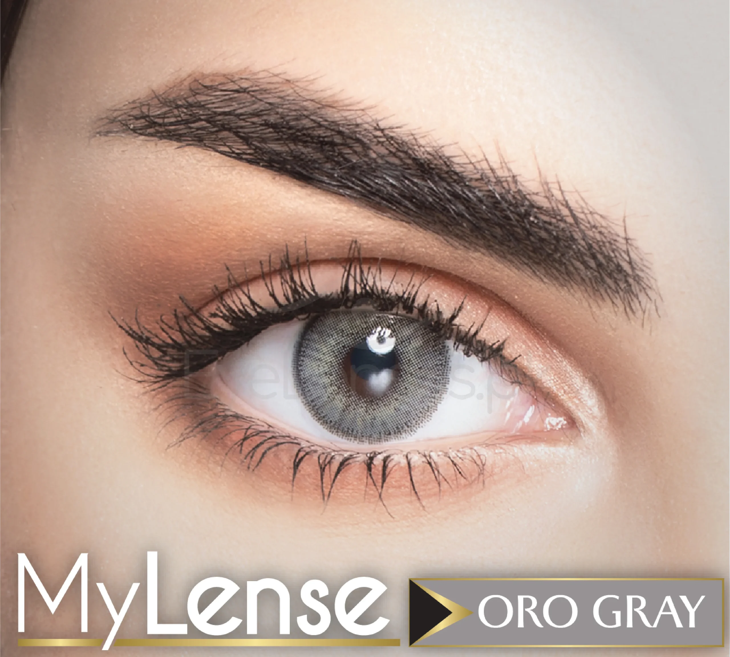 Oro Gray - My Lense