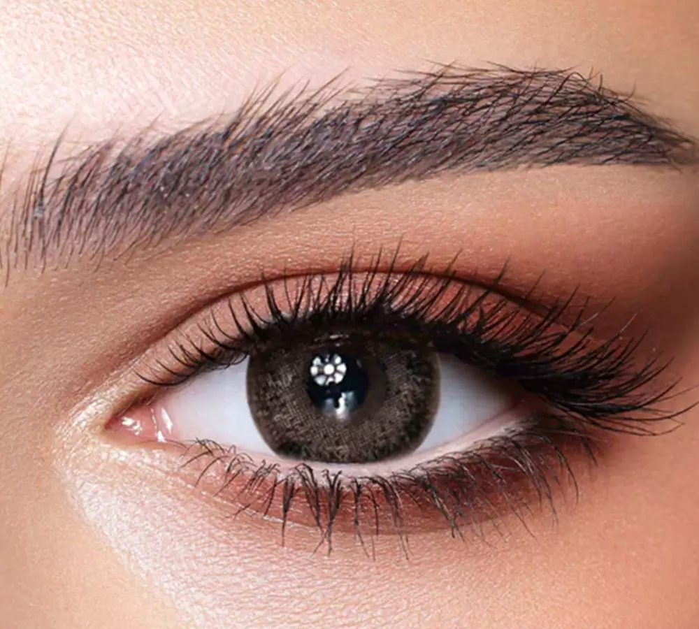 Ash Brown One Day Collection - Bella