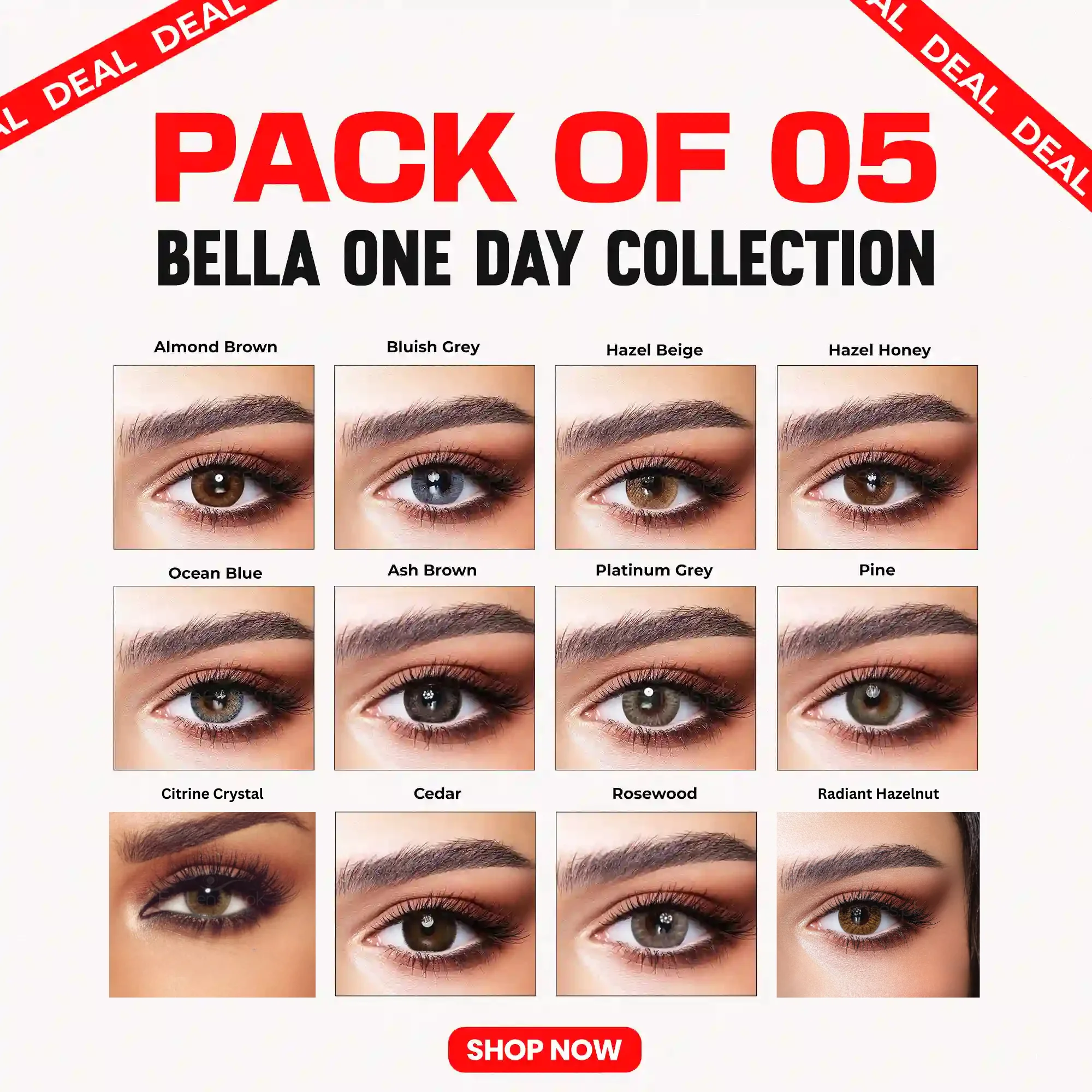 Bella 1 Day Collection - Five Pairs