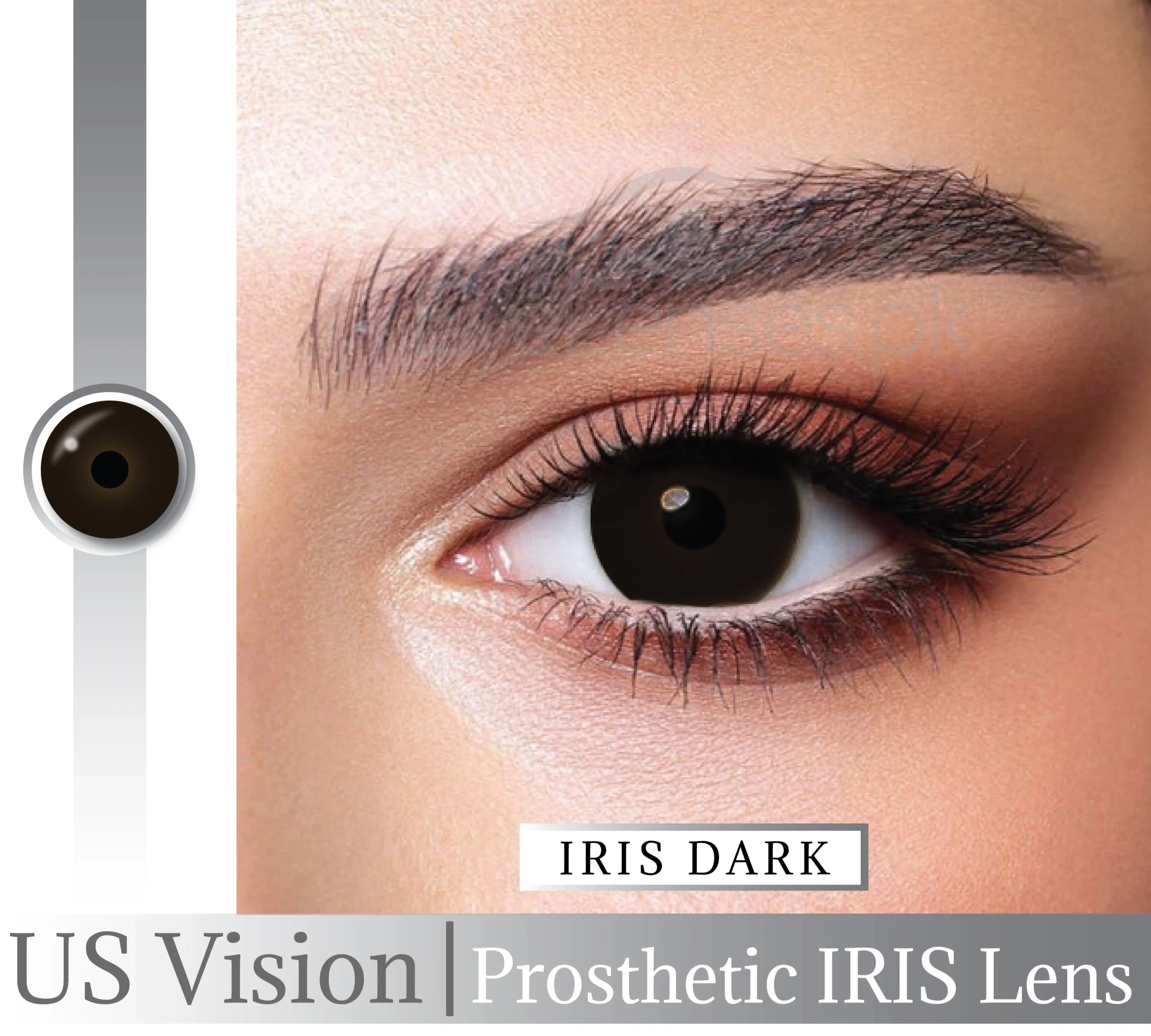 Dark Brown Prosthetic/IRIS Lens Us Vision for Damage eye