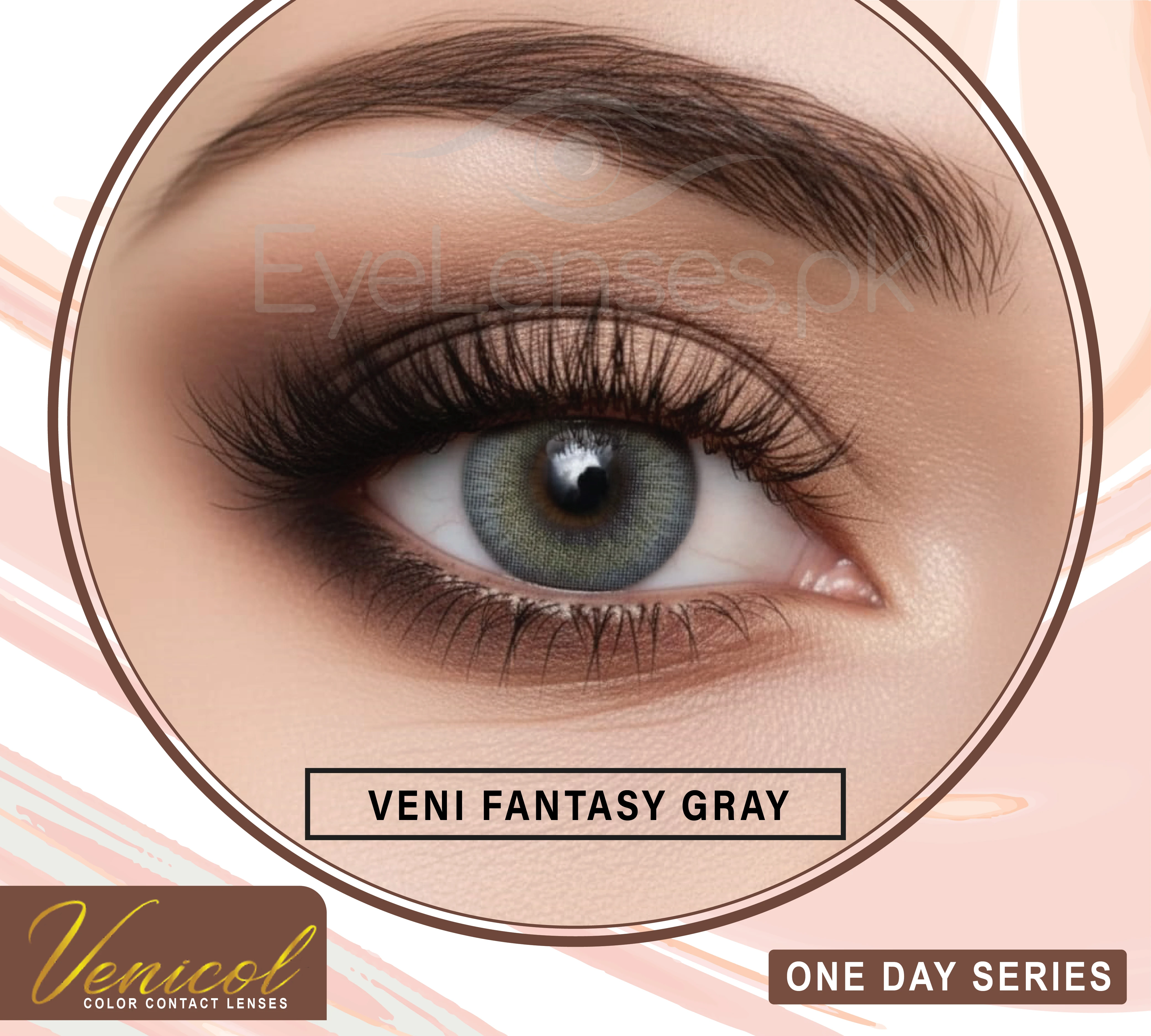 Fantasy Gray One Day Series – Venicol